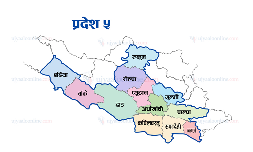 प्रदेश पाँचमा भोली सार्वजनिक बिदा