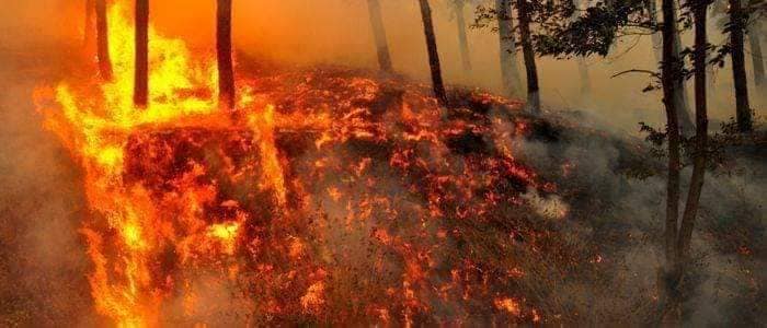 ताप्लेजुङको पाथीभरा मन्दिर क्षेत्रमा  पाँच दिनदेखि आगलागी