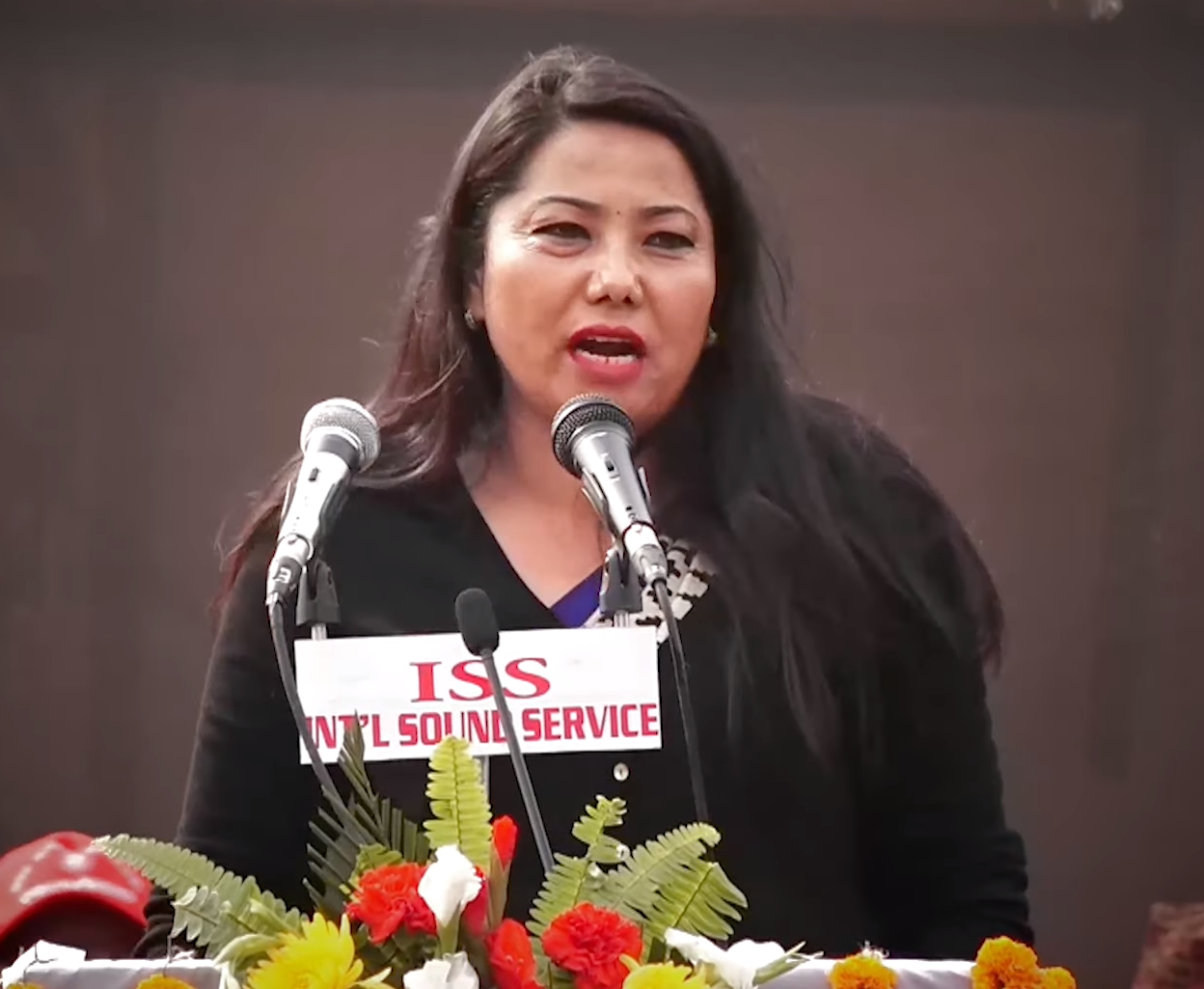 संविधानकाे चीरहरण गर्नेहरूविरुद्ध बाेल्न पाइन्छ : नेतृ झाँक्री